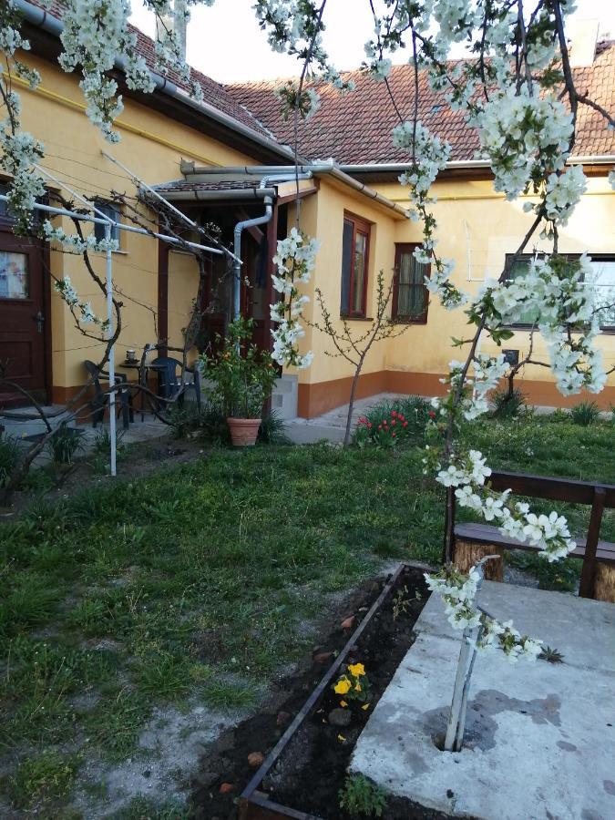 Harsfak Villa Mezokovacshaza Екстериор снимка