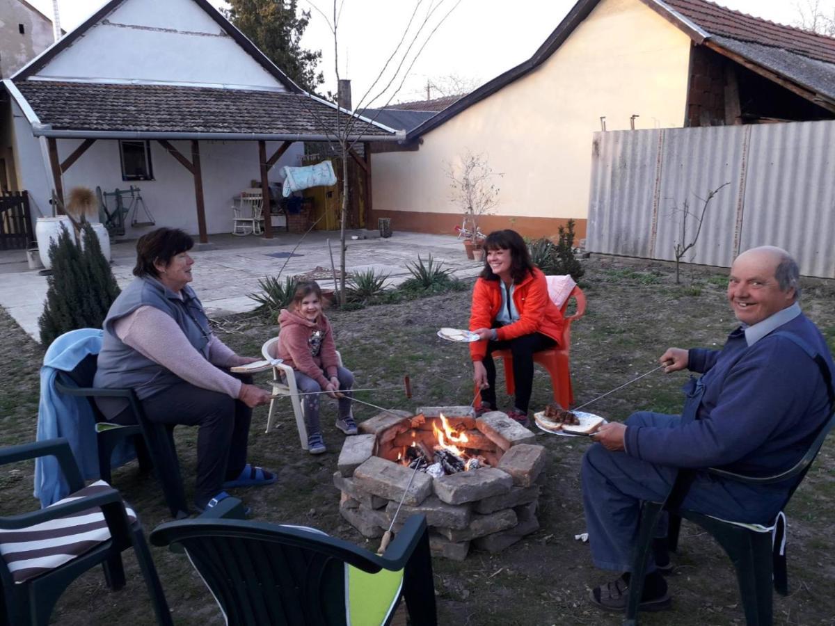 Harsfak Villa Mezokovacshaza Екстериор снимка